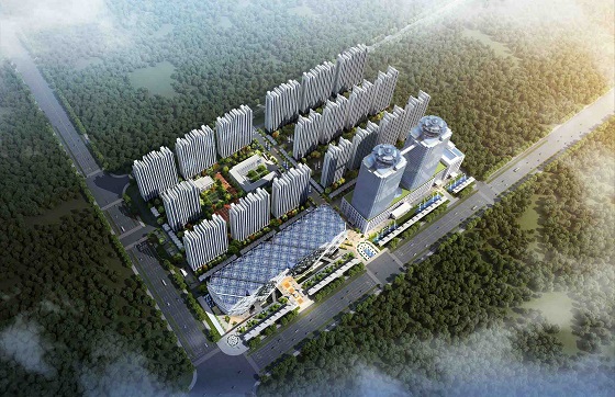 201903071551919317186.jpg 201903071551919317186.jpg